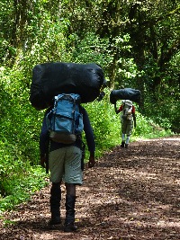 Porters on the Trail