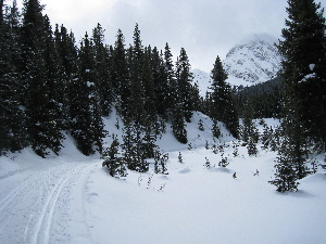 View of Mt Fox (I think) from the Elk pass trail